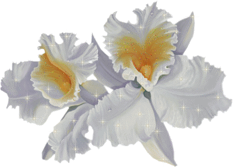 Открытки с белыми нарциссами скачать бесплатно. Открытки с белыми нарциссами ...