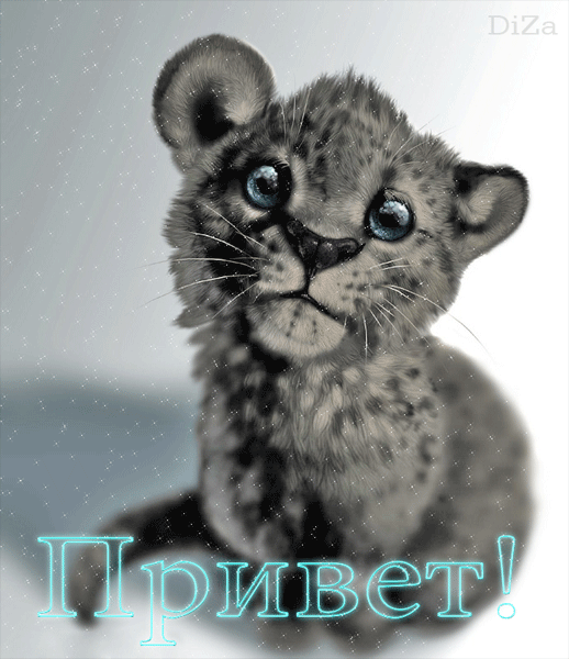  Скачать  красивые  Открытки с  приветствием  бесплатно gif.