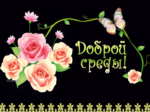 Открытки на среду скачать. Открытки на среду с пожеланиями бесплатно.