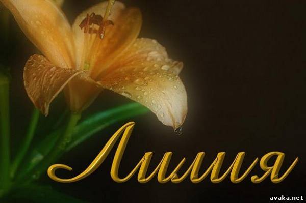 Анимационные открытки с именем Лилия. Открытки с именем Лилия скачать бесплатно.