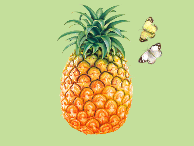 Открытки с фруктами скачать бесплатно. Открытки с фруктами онлайн.