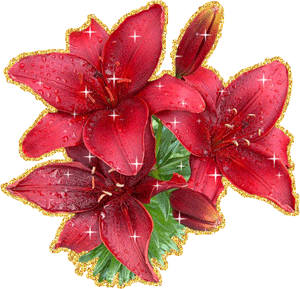 Открытки с красной лилией скачать. Анимационные открытки с красной лилией. 