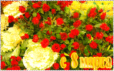 Скачать Открытки с 8 марта. Поздравления Международный Женский День.