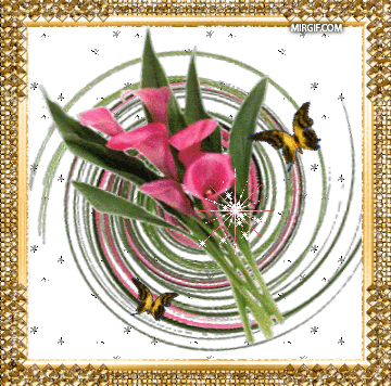 Открытки с каллами скачать бесплатно. Открытки с каллами онлайн.