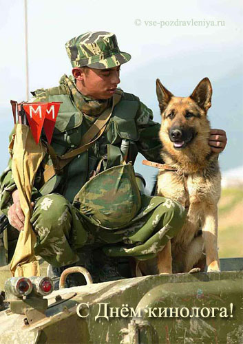 Открытки с днём кинолога скачать бесплатно. Открытки с днём кинолога 21 июня.