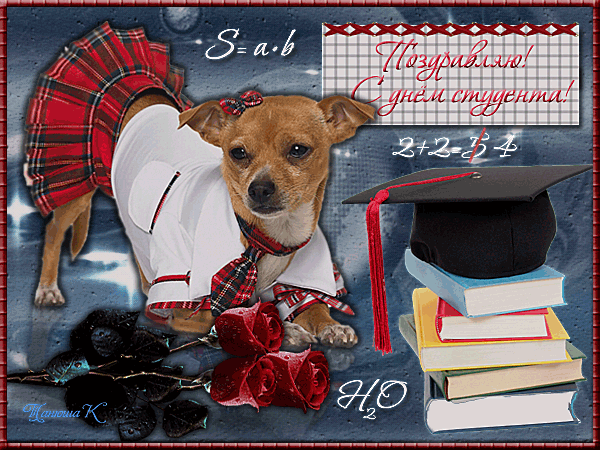 открытки с Днём Студента скачать бесплатно. Анимационные открытки ко дню студ...