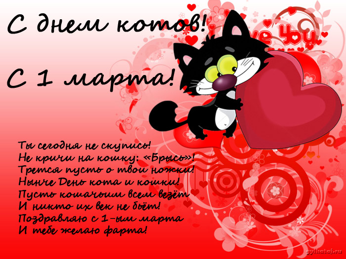 Открытки с Всемирным днём кошек с пожеланиями. Открытки с Всемирным днём коше...