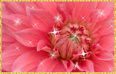 Открытки с георгинами скачать бесплатно. Открытки с георгинами онлайн.