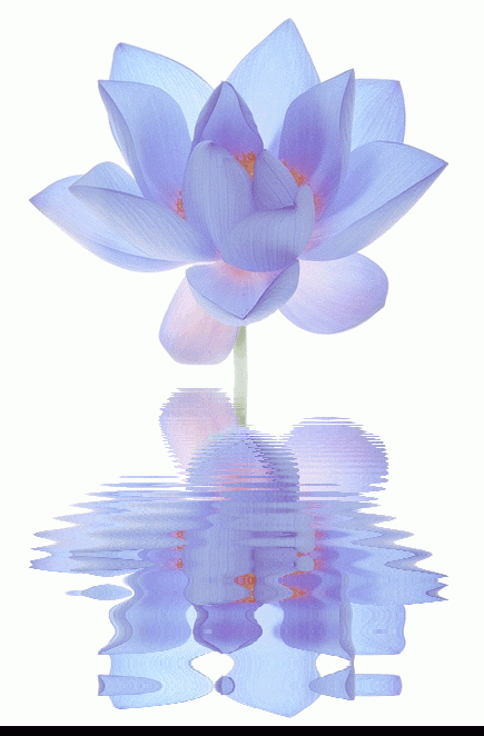 Открытки с лотосом анимационные. Блестящие открытки с лотосом.