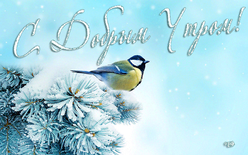 Открытки поздравления с добрым утром 