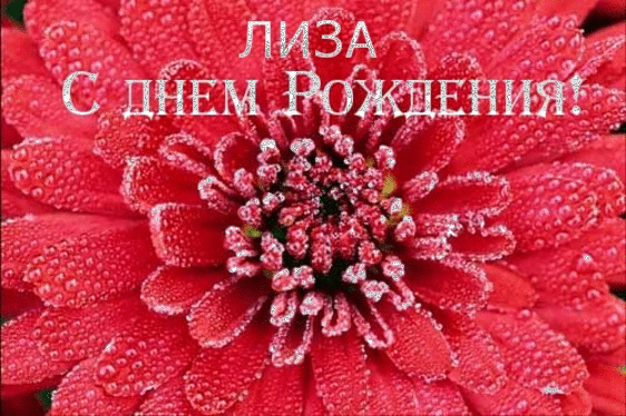 Открытки с именем Елизавета скачать бесплатно. Открытки с именем Лиза.