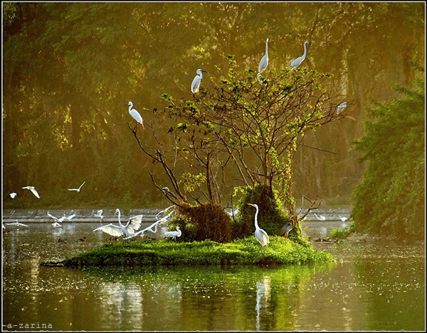 Открытки с красивой природой скачать бесплатно. Открытки с красивой природой ...