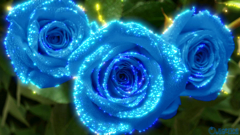 Открытки с синими розами скачать бесплатно. Открытки с синими розами онлайн.