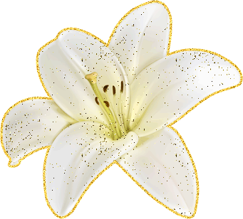 Открытки с белой лилией скачать бесплатно. Открытки с белой лилией gif.