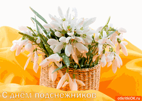 Открытки с днём подснежника gif. Открытки с днём подснежника скачать.
