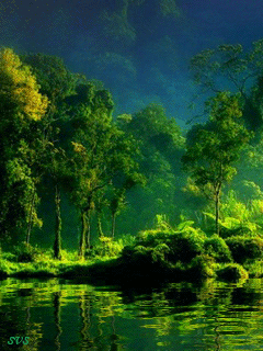 Открытки с красивой природой скачать бесплатно. Открытки с красивой природой ...