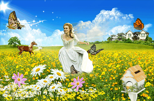 Открытки с цветочными полями с анимациями. Красивые открытки с цветами.