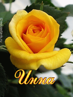 Открытки с именем Инна скачать бесплатно. С днём рождения Инна открытки.