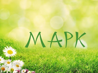 Открытки с именем Марк скачать бесплатно. С днём рождения Марк открытки.