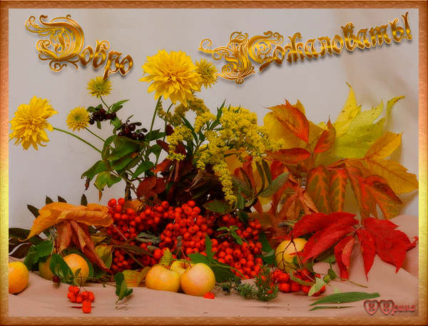 Скачать бесплатно Открытки Добро Пожаловать. Красивые Открытки Добро Пожаловать.