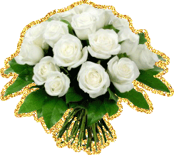 Открытки с белыми розами скачать бесплатно. Открытки с белыми розами онлайн.