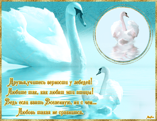 Открытки с лебедями скачать. Открытки с лебедями бесплатно. 