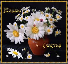 Открытки с букетом ромашек скачать бесплатно. Открытки с букетом ромашек онлайн.