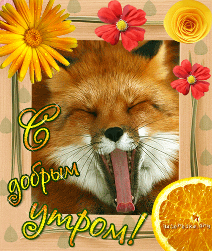 Открытки с лисичками скачать бесплатно. Открытки с лисичками gif.