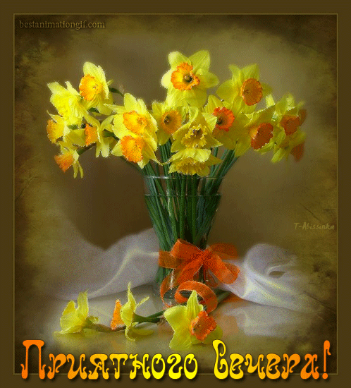 Открытки с пожеланиями хорошего вечера скачать бесплатно gif. 