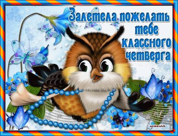 Привет четверг. Открытки с приколами и пожеланиями на четверг