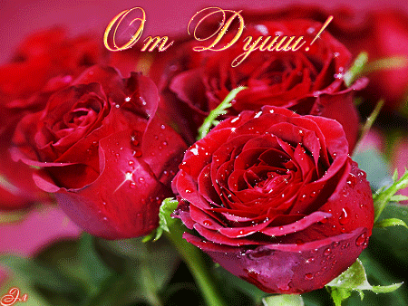 Открытки с красными розами скачать. Открытки с красными розами с пожеланиями.