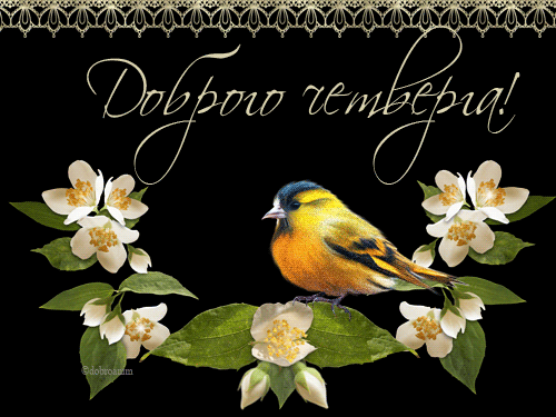 Открытки на четверг скачать. Открытки на четверг бесплатно онлайн.