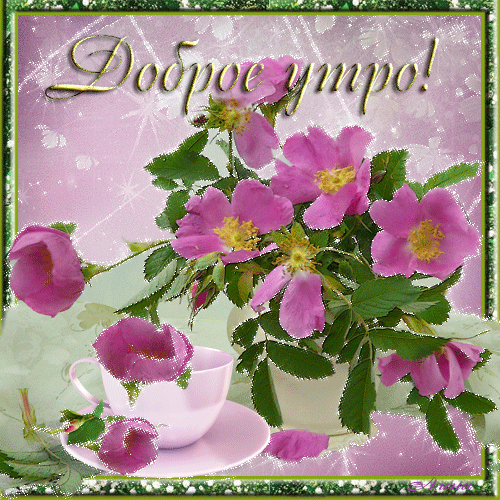 Открытки на каждый день с пожеланием доброго утра. Скачать открытки бесплатно.