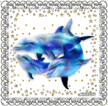 Открытки с дельфинами с анимациями. Открытки с дельфинами скачать.