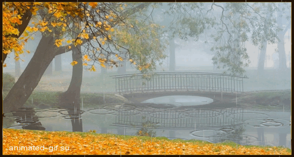 Открытки с дождём скачать бесплатно. Открытки с дождём с анимациями.