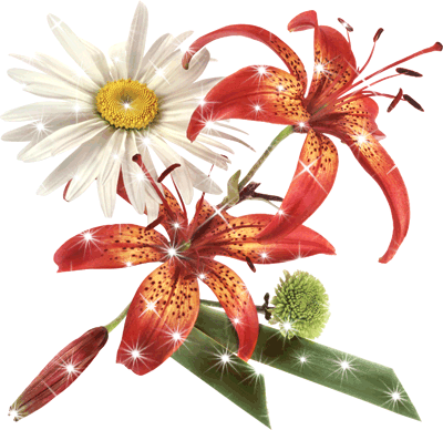 Открытки с красной лилией скачать. Анимационные открытки с красной лилией. 