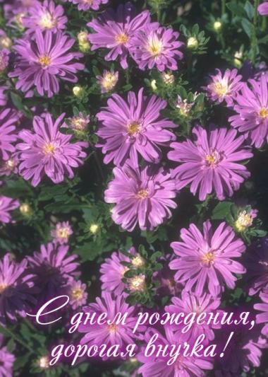 Открытки с днём рождения внучке скачать бесплатно. Открытки с днём рождения внучке gif.