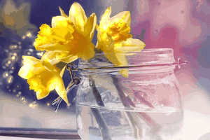 Открытки с желтыми нарциссами скачать бесплатно. Открытки с желтыми нарциссам...