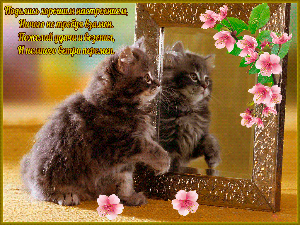 Самые лучшие Открытки хорошего настроения скачать бесплатно.