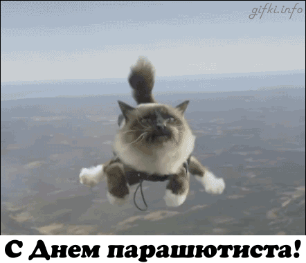 Открытки с днём парашютиста скачать. Открытки с днём парашютиста бесплатно.