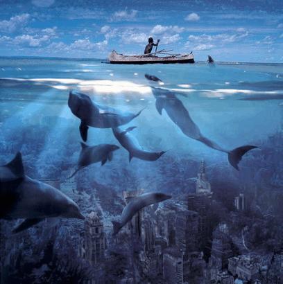 Открытки с подводным миром скачать. Открытки с подводным миром бесплатно.