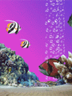 Открытки с рыбами скачать бесплатно. Открытки с рыбами gif. 