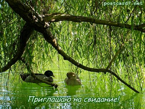Пригласительные открытки на свидание онлайн. Пригласительные открытки на свид...