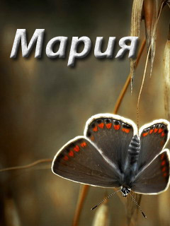 Открытки с именем Мария ко дню рождения. Открытки с именем Маша.