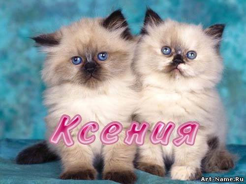 Скачать бесплатно открытки с именем Ксения. Анимационные открытки с именем Кс...