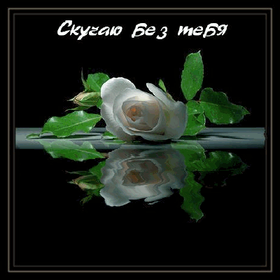  Открытки скучаю по тебе с признанием скачать бесплатно gif.