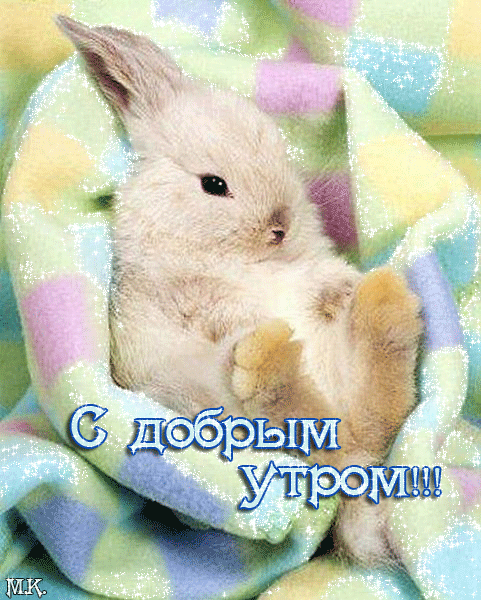 Скачать бесплатно открытки с зайчиками. Открытки с зайчиками gif.