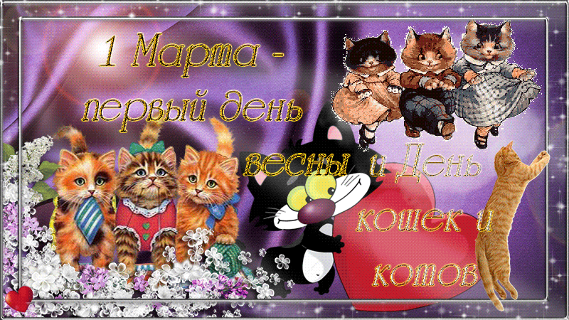 Скачать красивые анимационные Открытки ко дню кошек бесплатно.