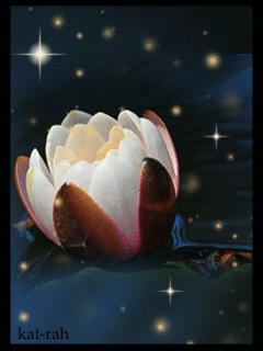 Открытки с водяными лилиями скачать бесплатно. Открытки с водяными лилиями он...