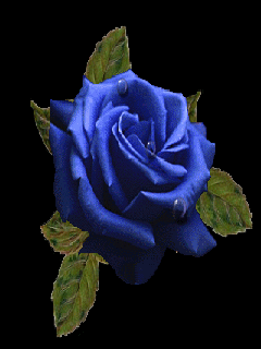 Открытки с синими розами скачать бесплатно. Открытки с синими розами онлайн.